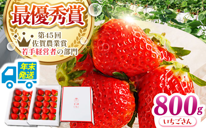【先行予約】【年末発送】王様のいちご いちごさん 800g（400g×2箱）【むらおか農園】 [HAF028]