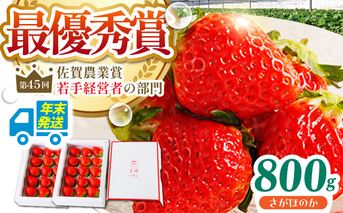 【先行予約】【年末発送】王様のいちご さがほのか 800g（400g×2箱）【むらおか農園】 [HAF029]
