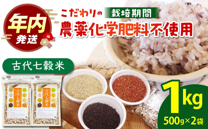【12/23入金まで年内発送】古代七穀米（500g×2個セット）【だいちの家】 [HAG003]雑穀