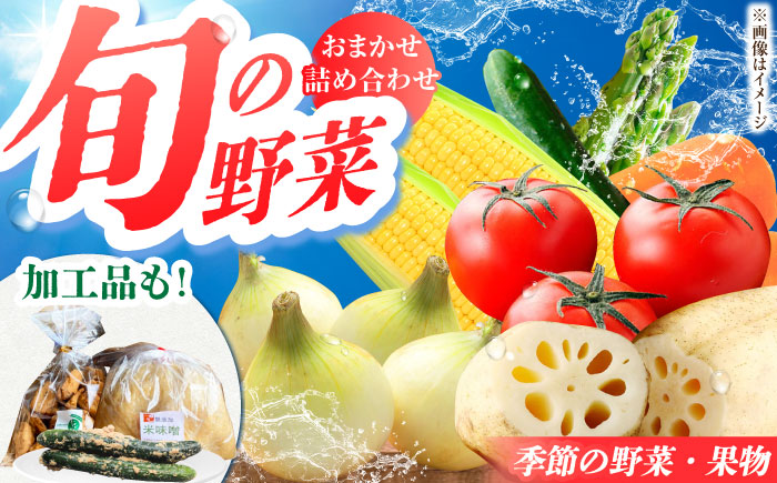 新鮮野菜・加工品 おまかせ詰め合わせ【だいちの家】 [HAG015]