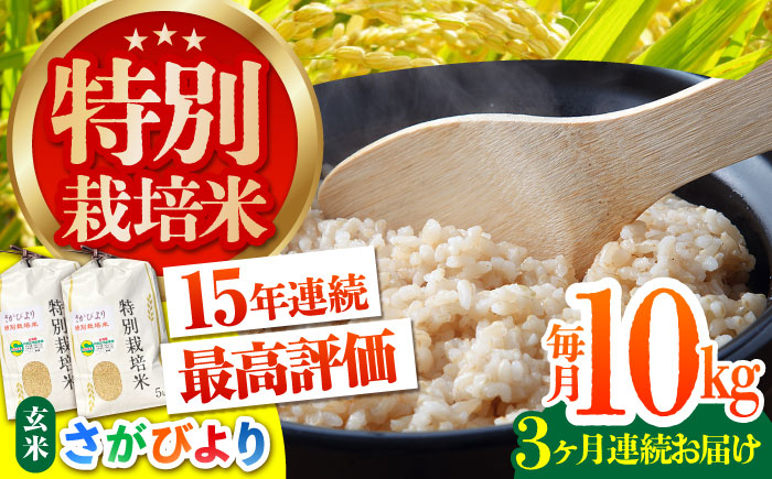 【全3回定期便】特別栽培米 さがびより 玄米 10kg【だいちの家】 [HAG019]
