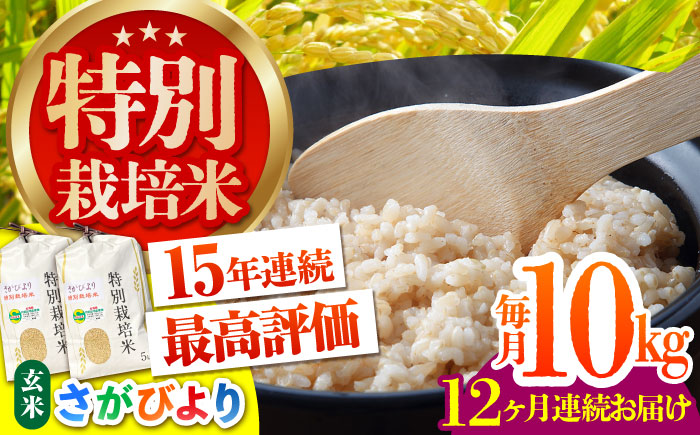 ＜先行予約＞【全12回定期便】特別栽培米 さがびより 玄米 10kg【だいちの家】 [HAG021]