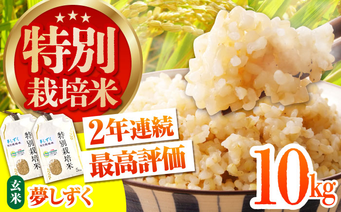 令和7年産 新米 特別栽培米「夢しずく」玄米10kg【だいちの家】佐賀 [HAG023]