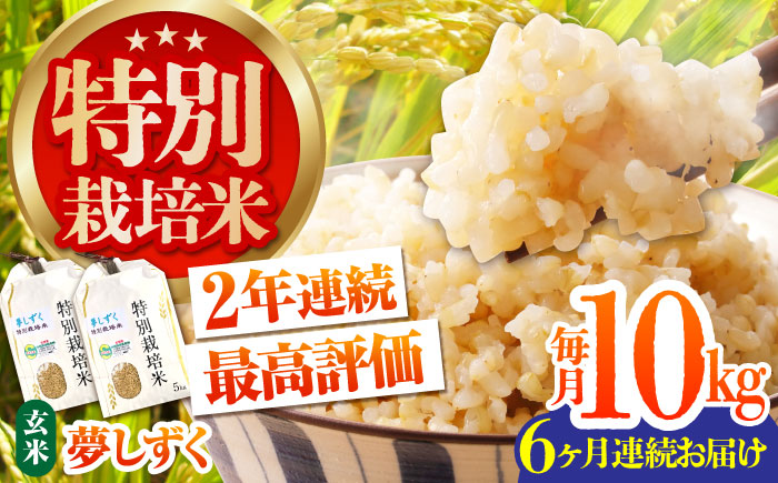 【全6回定期便】特別栽培米「夢しずく」玄米10kg【だいちの家】 [HAG025]