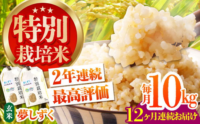 ＜全12回定期便＞特別栽培米「夢しずく」玄米10kg【だいちの家】 [HAG026]