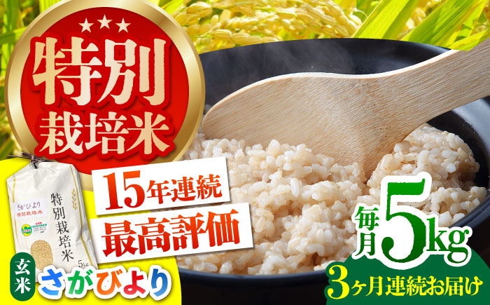 【全3回定期便】特別栽培米「さがびより」玄米 5kg 【だいちの家】 特A米 特A評価 [HAG028]