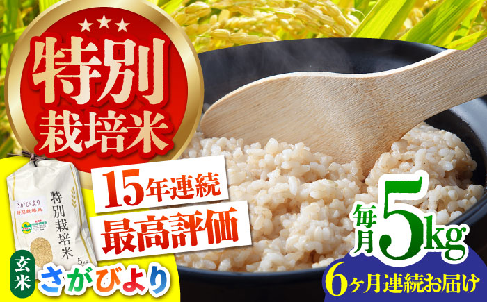 【全6回定期便】特別栽培米「さがびより」玄米 5kg 【だいちの家】 特A米 特A評価 [HAG029]