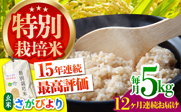 【先行予約】＜全12回定期便＞特別栽培米「さがびより」玄米 5kg 【だいちの家】 特A米 特A評価 [HAG030]