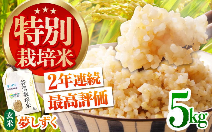 令和7年産 新米 特別栽培米「夢しずく」玄米5kg【だいちの家】 [HAG031]