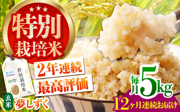 ＜全12回定期便＞特別栽培米「夢しずく」玄米5kg【だいちの家】 [HAG034]