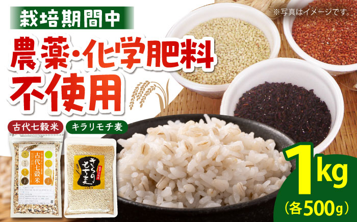 古代七穀米・キラリモチ麦セット（各500g）（【だいちの家】雑穀 雑穀米 麦 穀物 [HAG035]