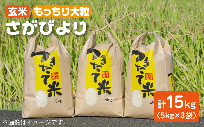 令和4年産 玄米 さがびより 15kg【武富農園】 [HAH001]