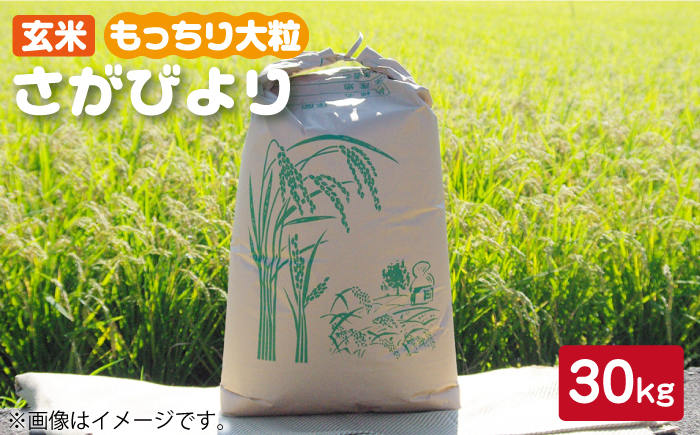 令和4年産 玄米 さがびより 30kg【武富農園】 [HAH002]