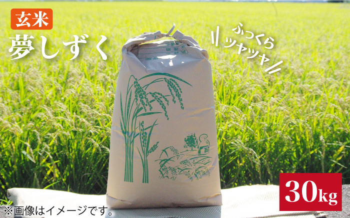 令和4年産 玄米 夢しずく 30kg【武富農園】 [HAH004]