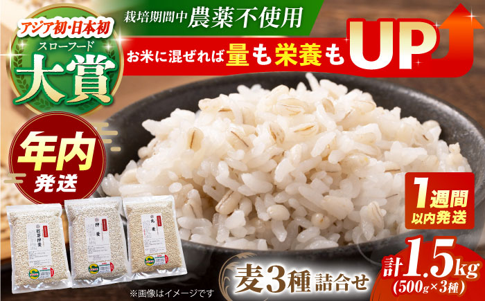 【12/23入金まで年内発送】【栽培期間中農薬不使用】麦詰合 500g×3（押麦、胚芽押麦、丸麦）【葦農】 [HAJ013] 麦