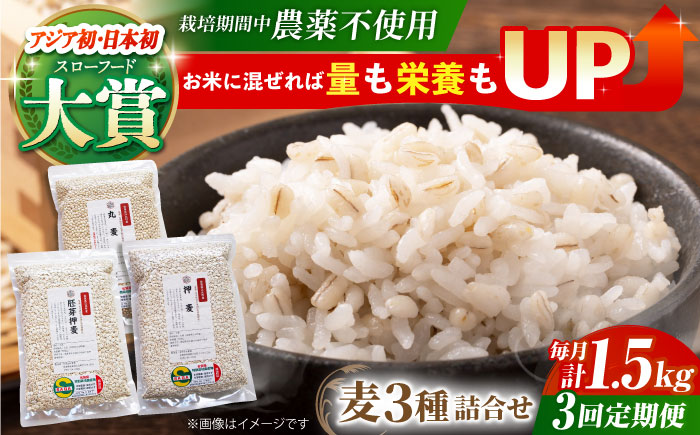 【全3回定期便】栽培期間中農薬不使用 麦詰合500g×3（押麦・胚芽押麦・丸麦）【葦農】 [HAJ031] 麦