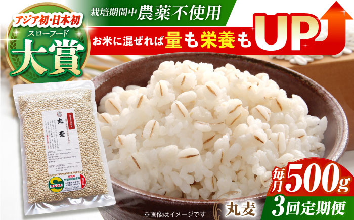 【全3回定期便】栽培期間中農薬不使用 丸麦500g（1等麦使用）【葦農】 [HAJ040] 麦