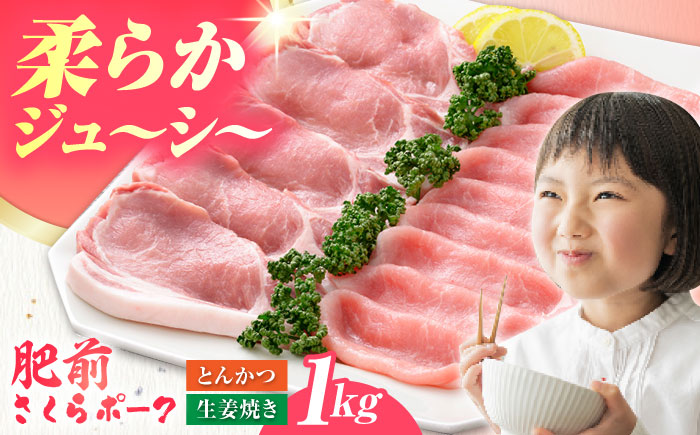 肥前さくらポーク 詰め合わせA【JAさが 杵島支所】 [HAM024] 豚肉