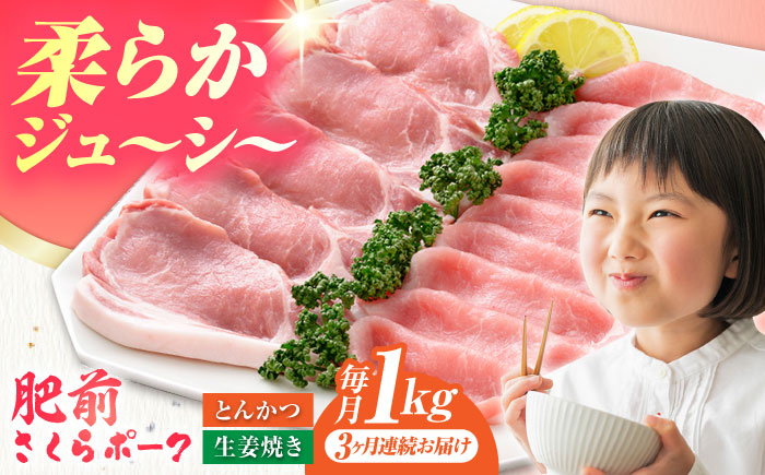 【全3回定期便】肥前さくらポーク 詰め合わせ セット 【JAさが 杵島支所】豚 ロース 豚肉 しょうが焼き とんかつ 生姜焼き トンカツ [HAM072]