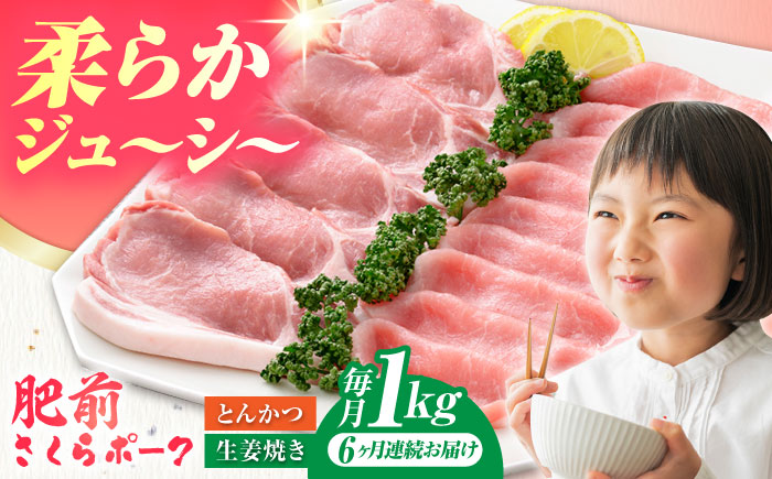 【全6回定期便】肥前さくらポーク 詰め合わせ セット 【JAさが 杵島支所】豚 ロース 豚肉 しょうが焼き とんかつ 生姜焼き トンカツ [HAM073]