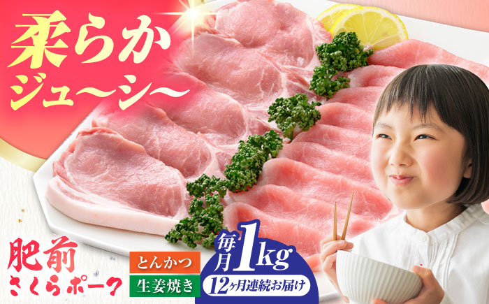 【全12回定期便】肥前さくらポーク 詰め合わせ セット 【JAさが 杵島支所】豚 ロース 豚肉 しょうが焼き とんかつ 生姜焼き トンカツ [HAM074]