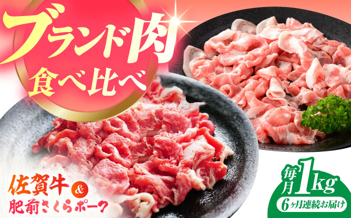 【全6回定期便】佐賀の肉 普段使いセット（佐賀牛・肥前さくらポーク） 【JAさが 杵島支所】[HAM080] 牛肉 豚肉