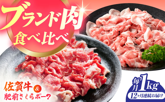 【全12回定期便】佐賀の肉 普段使いセット（佐賀牛・肥前さくらポーク） 【JAさが 杵島支所】[HAM081] 牛肉 豚肉