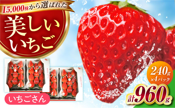 【1月～3月発送】いちごさん 240g×4パック 【JAさが 杵島支所】佐賀 [HAM087]