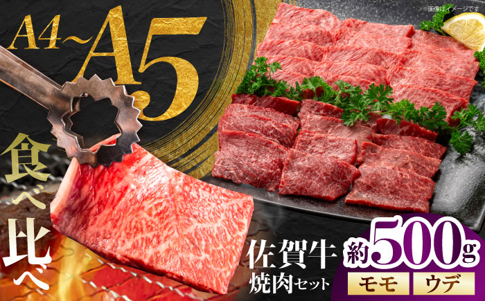 佐賀牛 焼肉セット C モモ ウデ 約500g 【JAさが 杵島支所】 [HAM093]