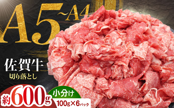 佐賀牛 切り落とし 600g （100g×6パック） 【JAさが 杵島支所】 こま切れ 小間切れ [HAM097]