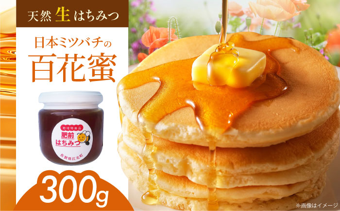 【先行予約】日本ミツバチの天然生はちみつ（百花蜜）300g【白木酒店】 [HAQ011]