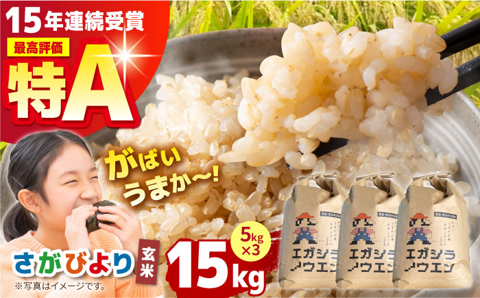 【先行予約】令和6年産 がばいうまかエガシライス（さがびより）玄米15kg（5kg×3袋）【江頭農園】 [HAU001]
