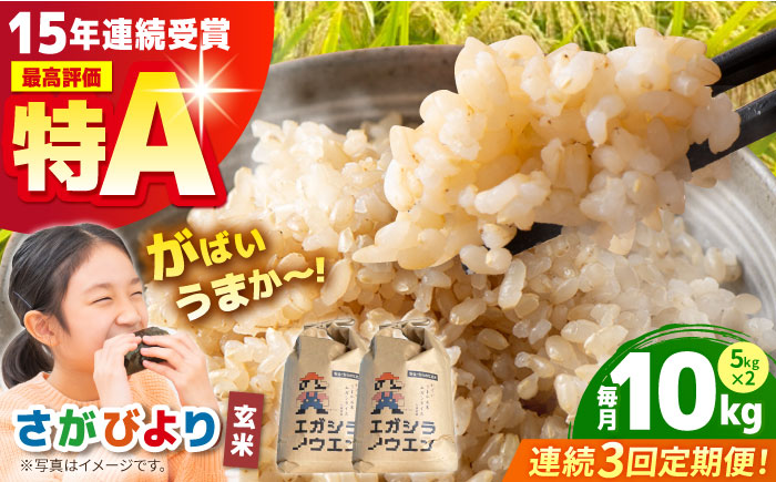 【全3回定期便】がばいうまか エガシライス（さがびより）玄米 10kg（5kg×2袋）【江頭農園】 [HAU006]