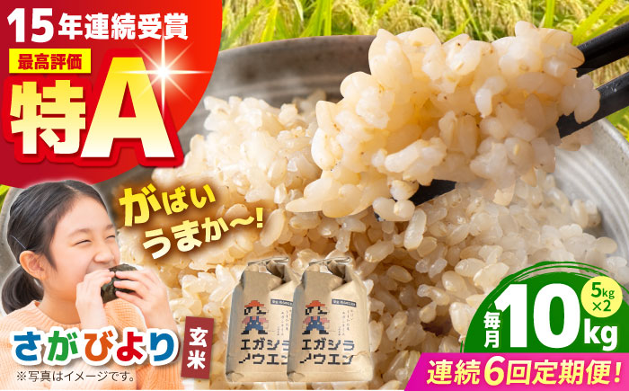 【全6回定期便】がばいうまか エガシライス（さがびより）玄米 10kg（5kg×2袋）【江頭農園】 [HAU007]