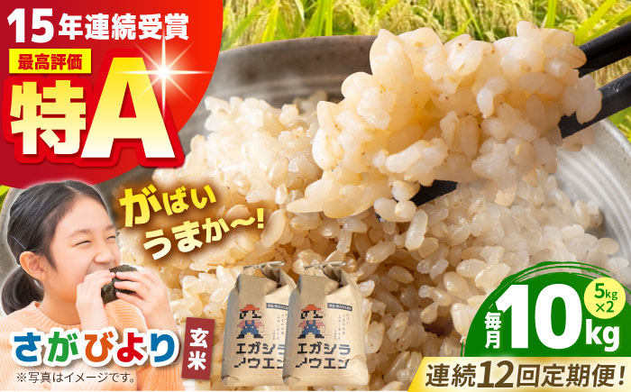 【全12回定期便】がばいうまか エガシライス（さがびより）玄米 10kg（5kg×2袋）【江頭農園】 [HAU008]