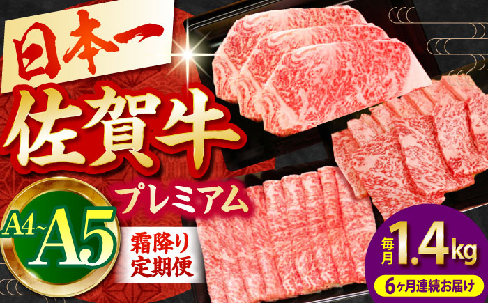 【全6回定期便】佐賀牛 プレミアム霜降り定期【田中畜産牛肉店】 [HBH026] 牛肉