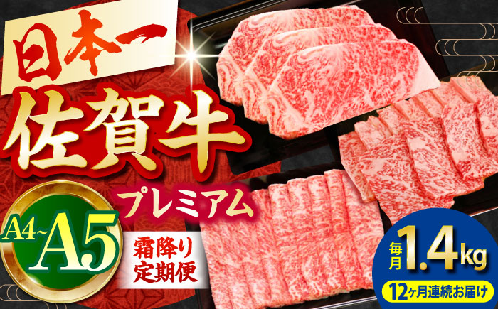 【全12回定期便】佐賀牛 プレミアム霜降り定期【田中畜産牛肉店】 [HBH027] 牛肉