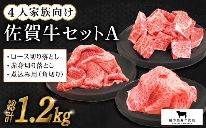 4人家族向け 佐賀牛 普段使いセットA【田中畜産牛肉店】 [HBH031] 牛肉