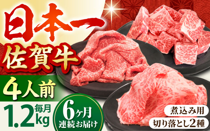 【全6回定期便】4人家族向け 佐賀牛 普段使いセットA【田中畜産牛肉店】 [HBH036] 牛肉