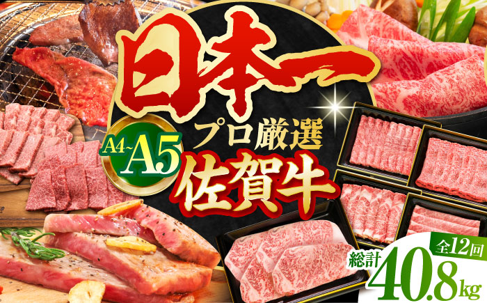【全12回定期便】佐賀牛 大満喫定期【田中畜産牛肉店】 [HBH043] 牛肉