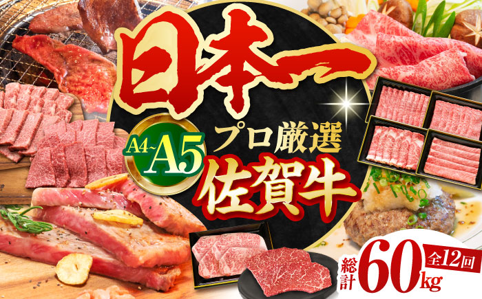 【全12回定期便】佐賀牛 贅沢定期【田中畜産牛肉店】 [HBH045] 牛肉