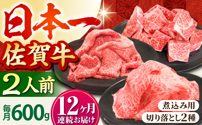 【全12回定期便】おふたりさま向け 佐賀牛 普段使いセットA【田中畜産牛肉店】 [HBH069] 牛肉