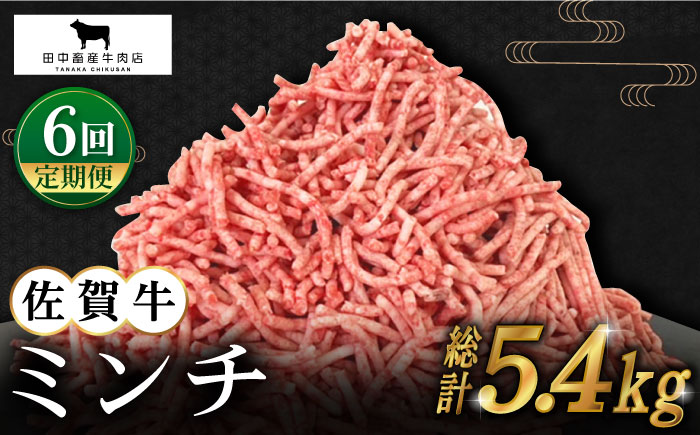 【全6回定期便】佐賀牛 ミンチ 900g（300g×3パック）【田中畜産牛肉店】 [HBH104] 牛肉