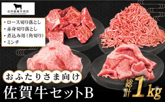 【毎日のお料理に】おふたりさま向け 佐賀牛 普段使いセットB【田中畜産牛肉店】 [HBH110] 牛肉