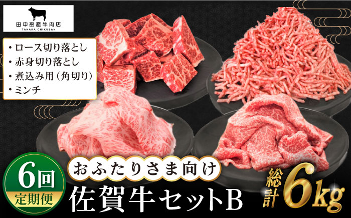 【全6回定期便】おふたりさま向け 佐賀牛 普段使いセットB【田中畜産牛肉店】 [HBH112] 牛肉