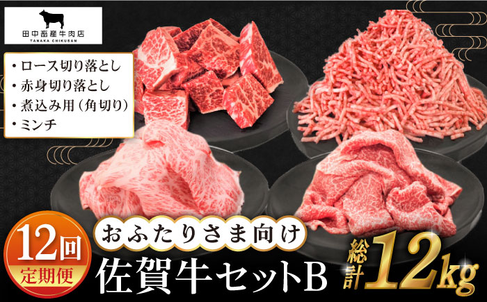 【全12回定期便】おふたりさま向け 佐賀牛 普段使いセットB【田中畜産牛肉店】 [HBH113] 牛肉