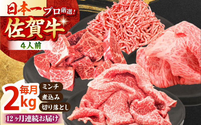 【全12回定期便】4人家族向け 佐賀牛 普段使いセットB【田中畜産牛肉店】 [HBH117] 牛肉