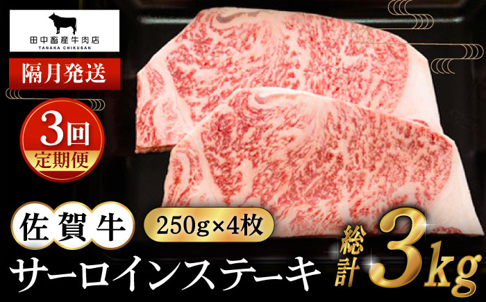 【全3回定期便】【隔月発送】佐賀牛 サーロインステーキ 1.0kg（250g×4枚）【田中畜産牛肉店】 [HBH126]