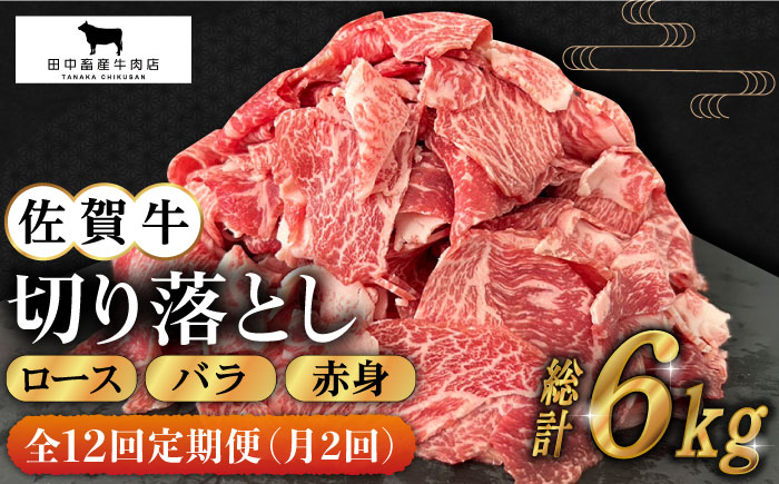 【月2回発送 / 6ヶ月お届け】全12回定期便 佐賀牛切り落とし500g【田中畜産牛肉店】 [HBH134]