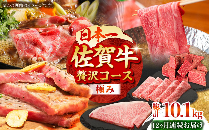 【全12回定期便】佐賀牛 贅沢コース＜極み＞【田中畜産牛肉店】[HBH135] 牛肉